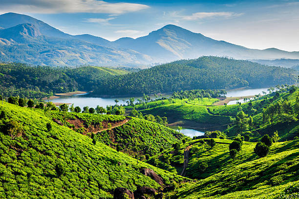 Discover Kerala, India